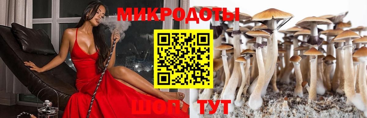 Псилоцибиновые грибы прущие грибы  Псилоцибиновые грибы мицелий  Знаменск  Вход с VPN 